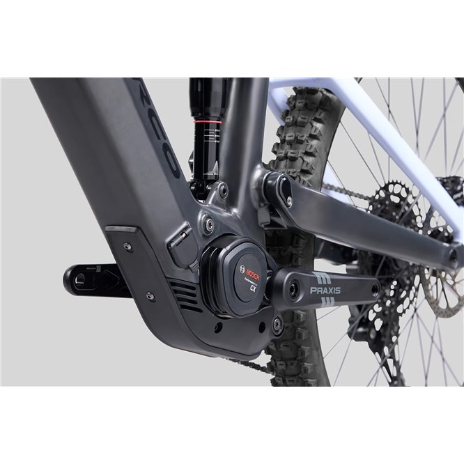 NORCO 2025 Sight VLT CX C3