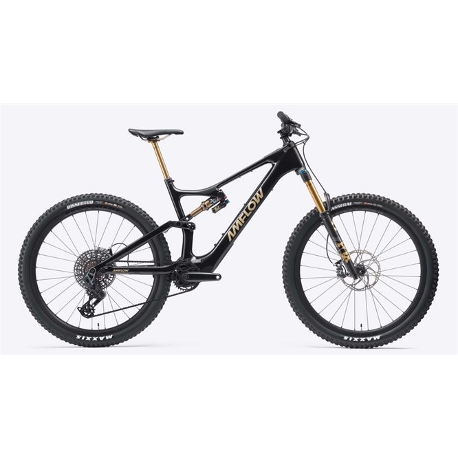 AMFLOW PL Carbon Pro 800 Wh AMFLOW PL Carbon Pro 800 Wh