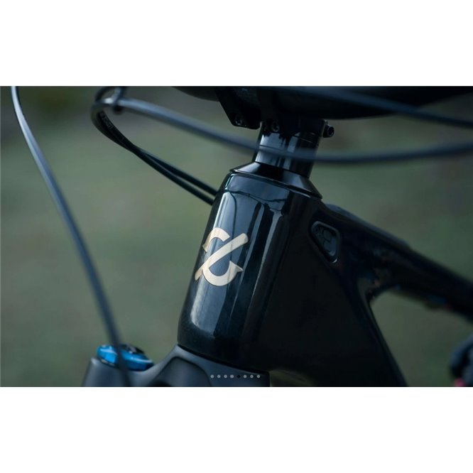 AMFLOW PL Carbon Pro 800 Wh AMFLOW PL Carbon Pro 800 Wh