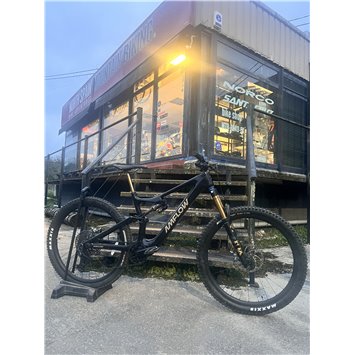 AMFLOW PL Carbon Pro 800 Wh AMFLOW PL Carbon Pro 800 Wh