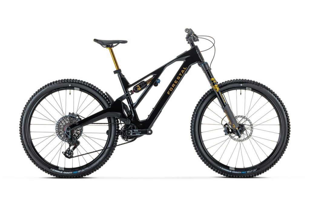 Forestal e-Siryon Diode V2 · Gloss Raw Carbon / Gold